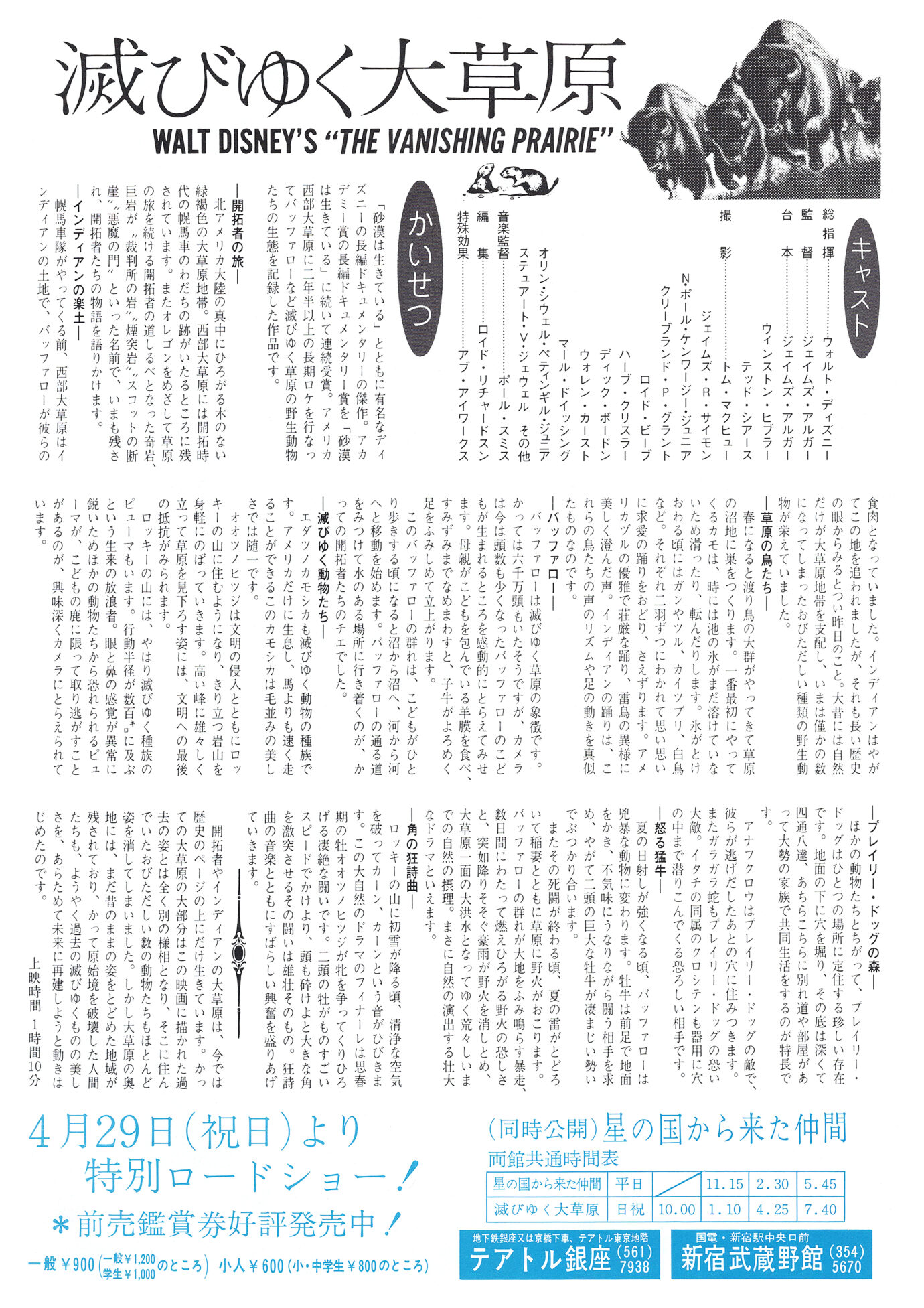 滅びゆく大草原（1954）映画チラシ　裏面