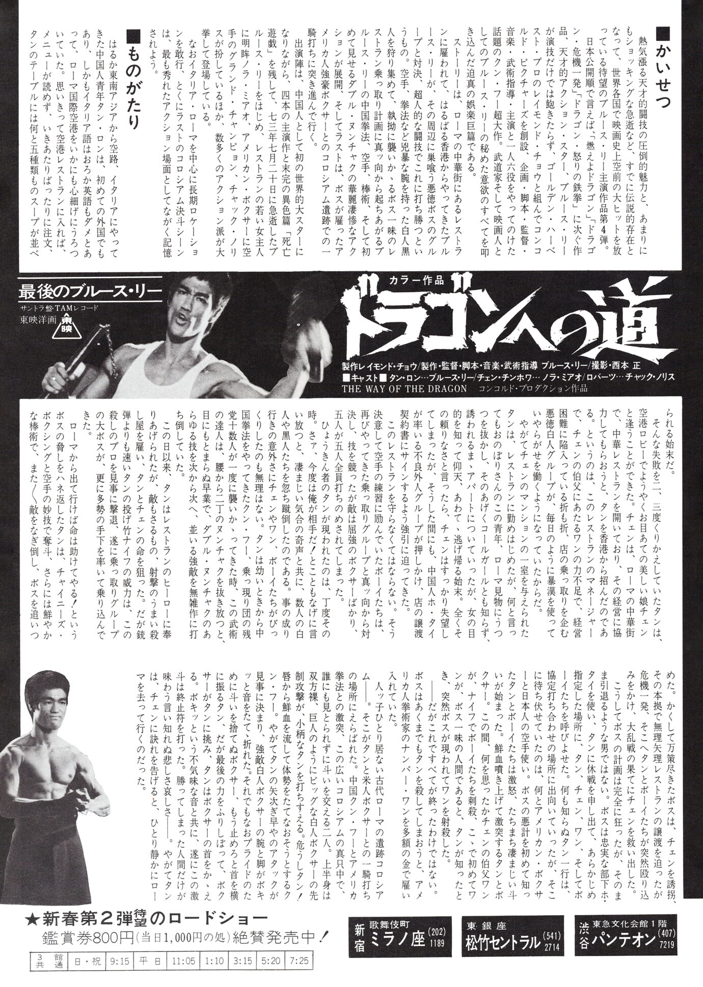 ドラゴンへの道［映画チラシ 裏面］