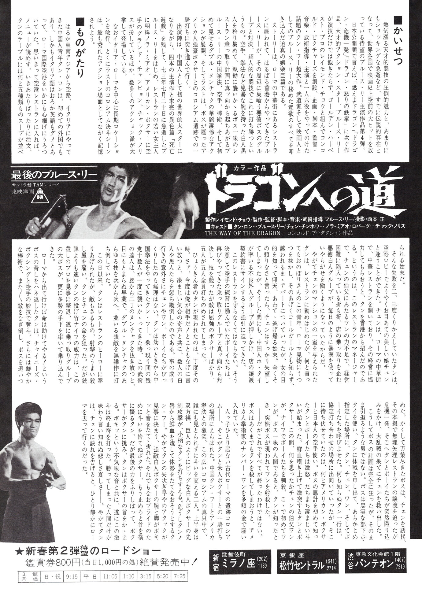 ドラゴンへの道［映画チラシ 裏面］