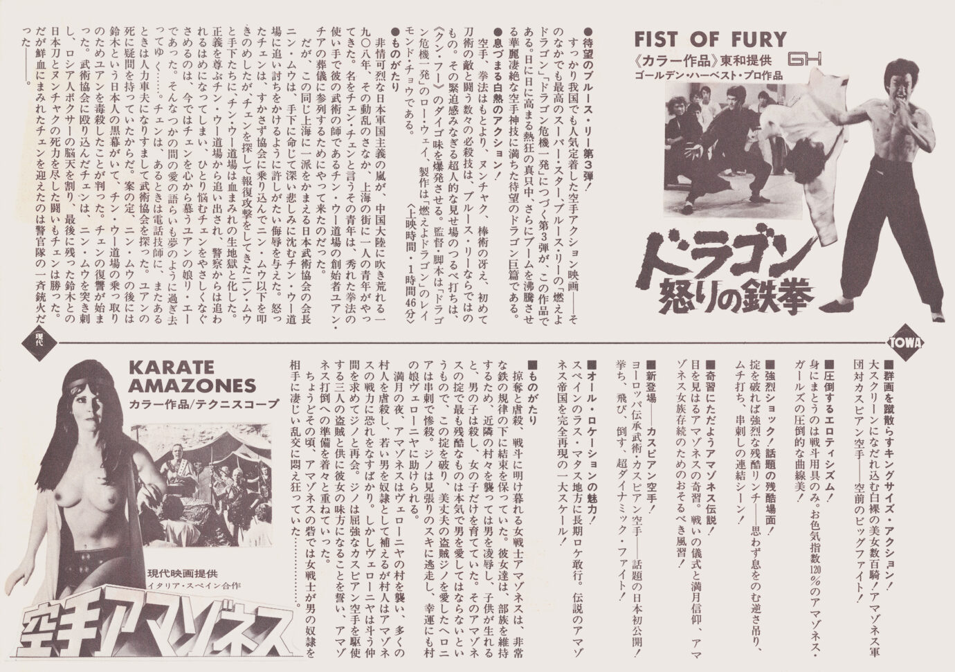 ドラゴン怒りの鉄拳／空手アマゾネス［映画チラシ 裏面］