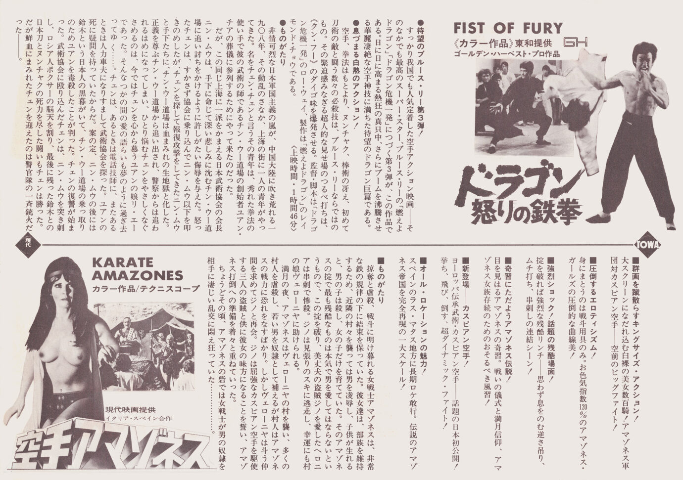 ドラゴン怒りの鉄拳／空手アマゾネス［映画チラシ 裏面］